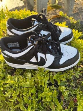 Nike Dunks